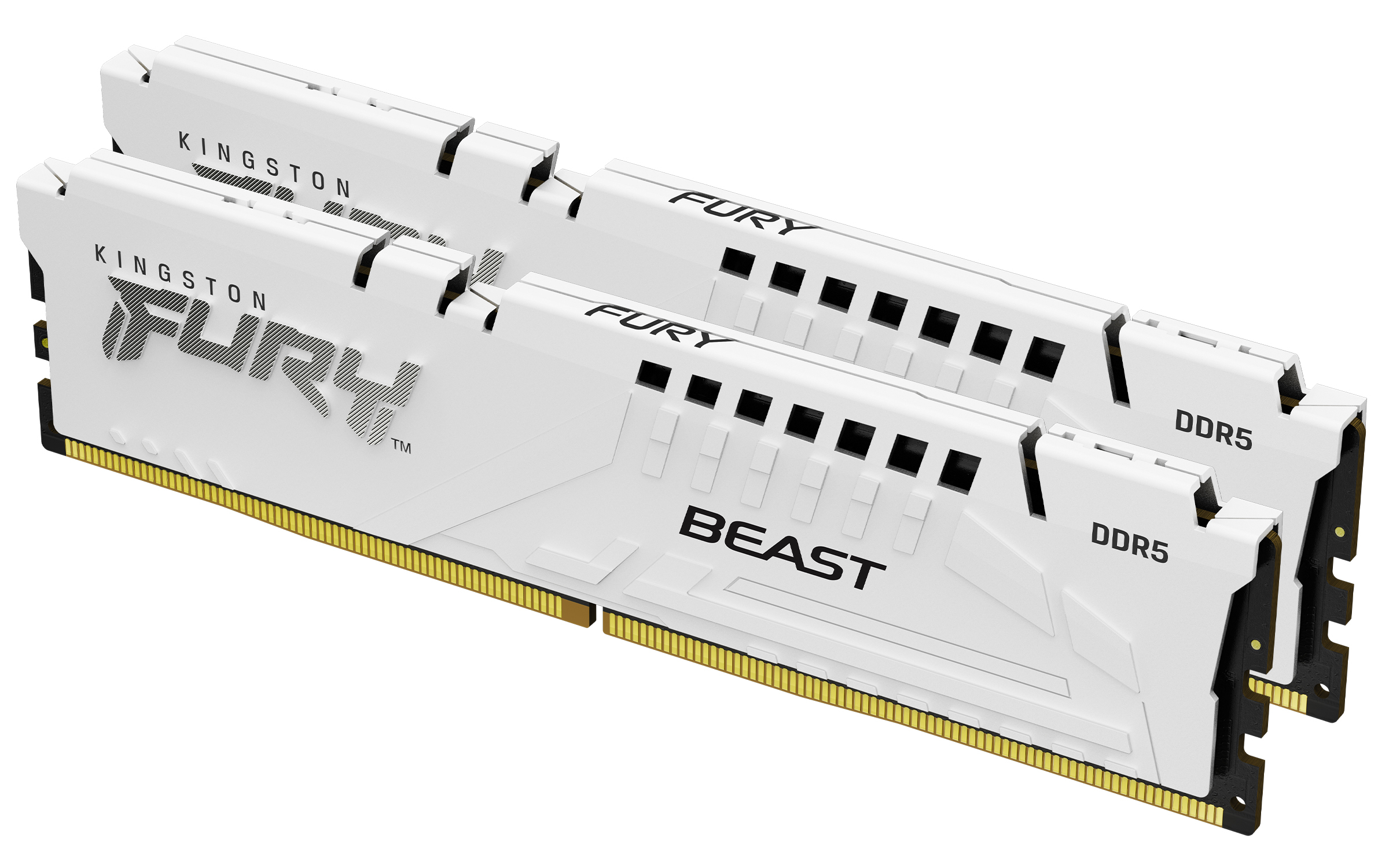 Kingston Technology FURY Beast 64 Go 6000 MT/s DDR5 CL30 DIMM (Kits de 2) White EXPO Kingston Technology FURY Beast 64 Go 6000 MT/s DDR5 CL30 DIMM (Kits de 2) White EXPO