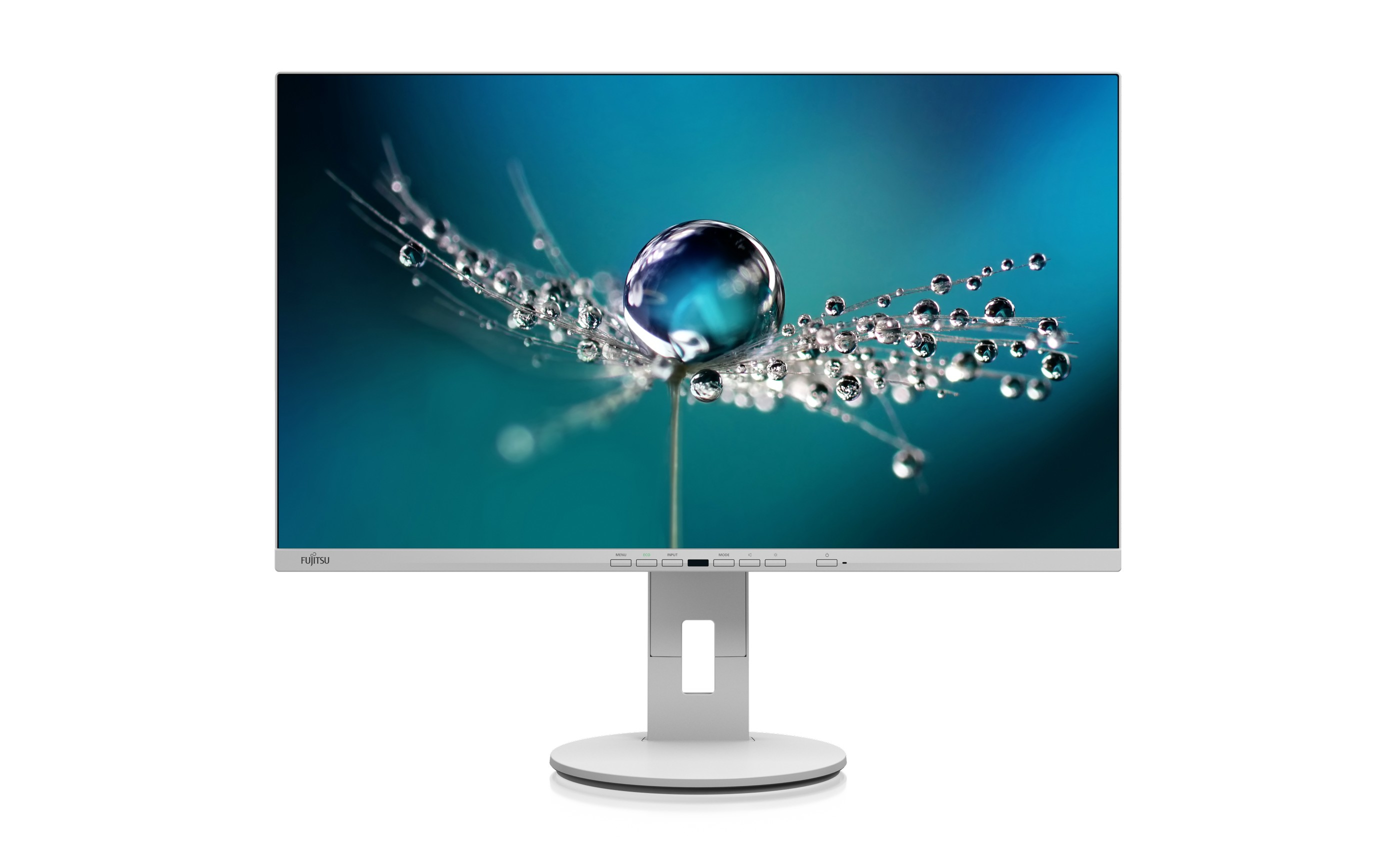 Fujitsu B2711 TE QHD 68,6 cm (27") 2560 x 1440 pixels Quad HD LED Gris