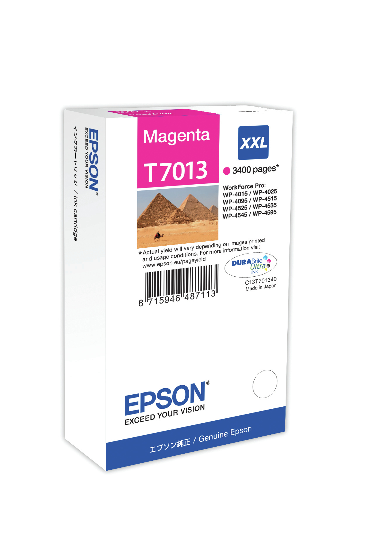 Epson T7013 Epson T7013