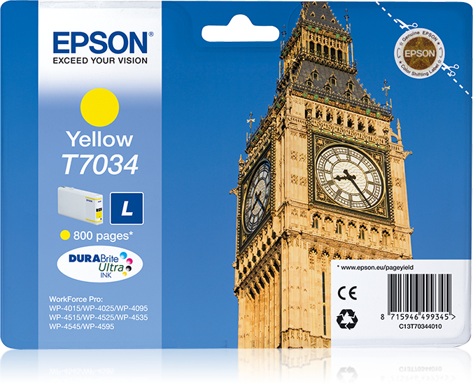 Epson T7034 Epson T7034