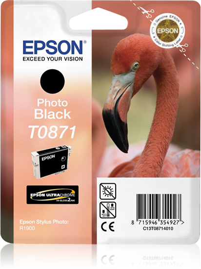 Epson T0871