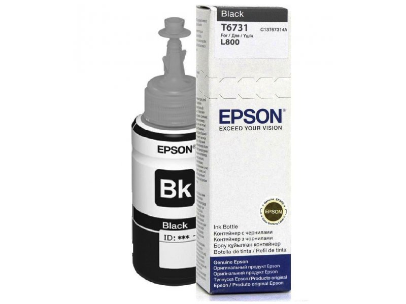 Epson T6731 Epson T6731