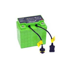 SV LiFe Replacement Battery