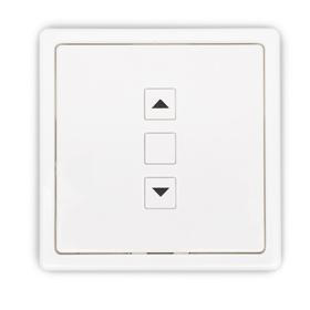 Projecta RF Wall-Mounted Transmitter Projecta RF Wall-Mounted Transmitter