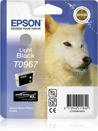 Epson T0967 Epson T0967
