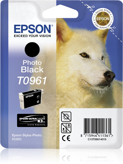 Epson T0961 Epson T0961
