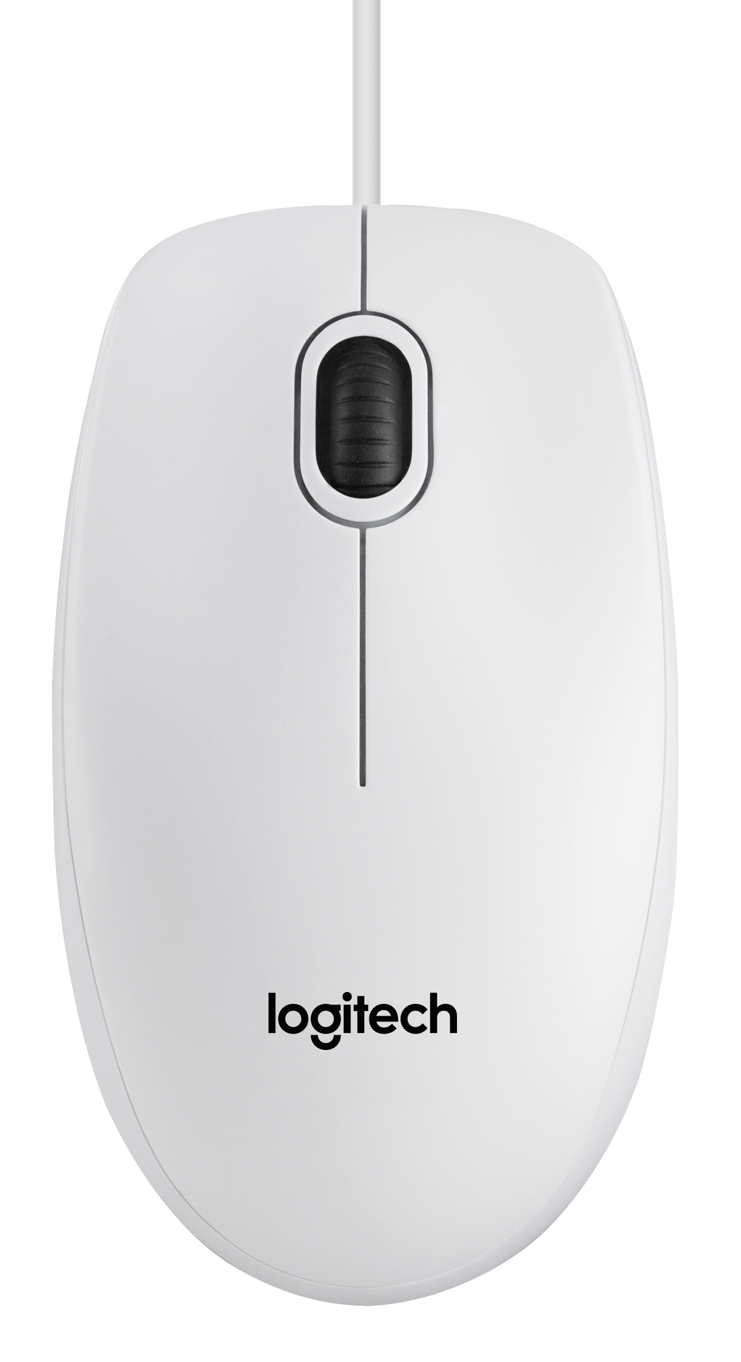 Logitech B100