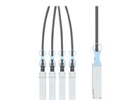 Panduit PHQ4SFP2A3MBL câble de fibre optique 3 m QSFP28 4x SFP28 DAC Noir Panduit PHQ4SFP2A3MBL câble de fibre optique 3 m QSFP28 4x SFP28 DAC Noir