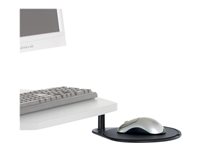 Ergotron MOUSE SHELF, SWING-OUT BLACK écran plat de PC