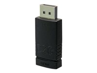C2G DisplayPort to HDMI Adapter Converter