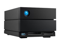 LaCie 2BIG DOCK boîtier de disques 20 To Bureau Noir LaCie 2BIG DOCK boîtier de disques 20 To Bureau Noir