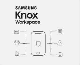 Samsung Knox Workspace 2 Year Samsung Knox Workspace 2 Year