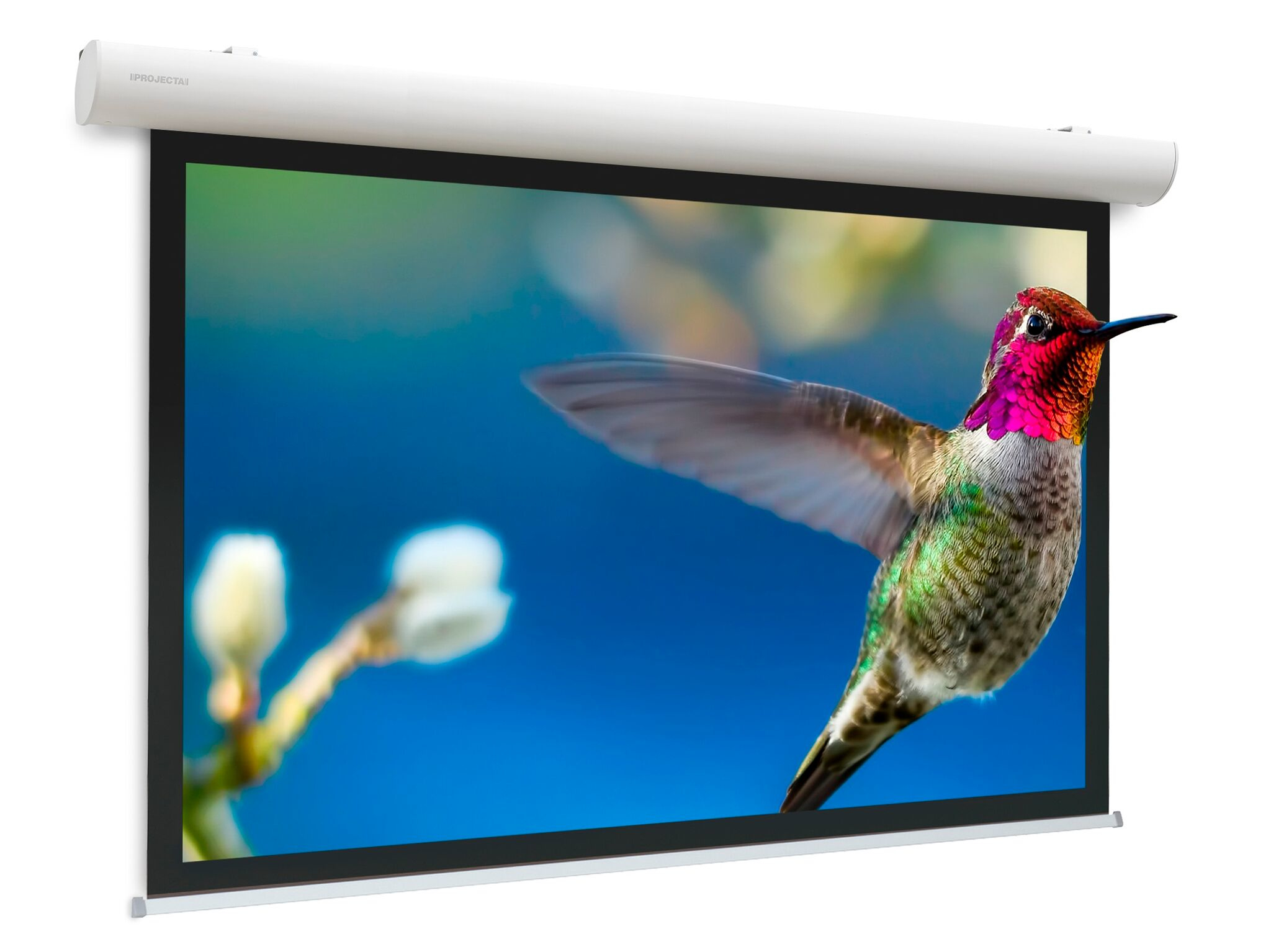 Projecta Elpro Concept Wide Format Projecta Elpro Concept Wide Format