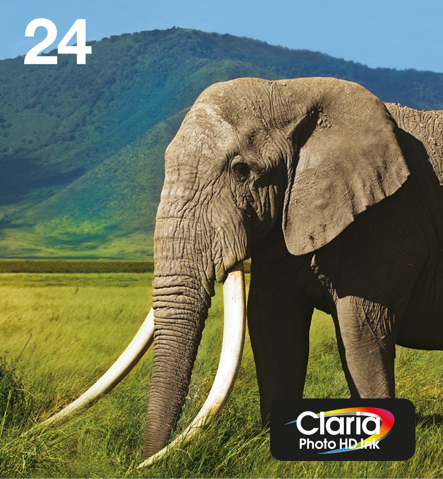 Ink/24 Elephant CLcMLmYK Ink/24 Elephant CLcMLmYK