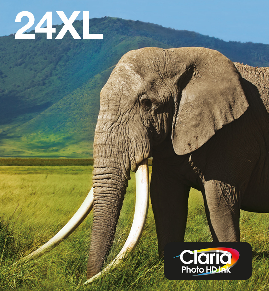Ink/24XL Elephant CLcMLmYK Ink/24XL Elephant CLcMLmYK
