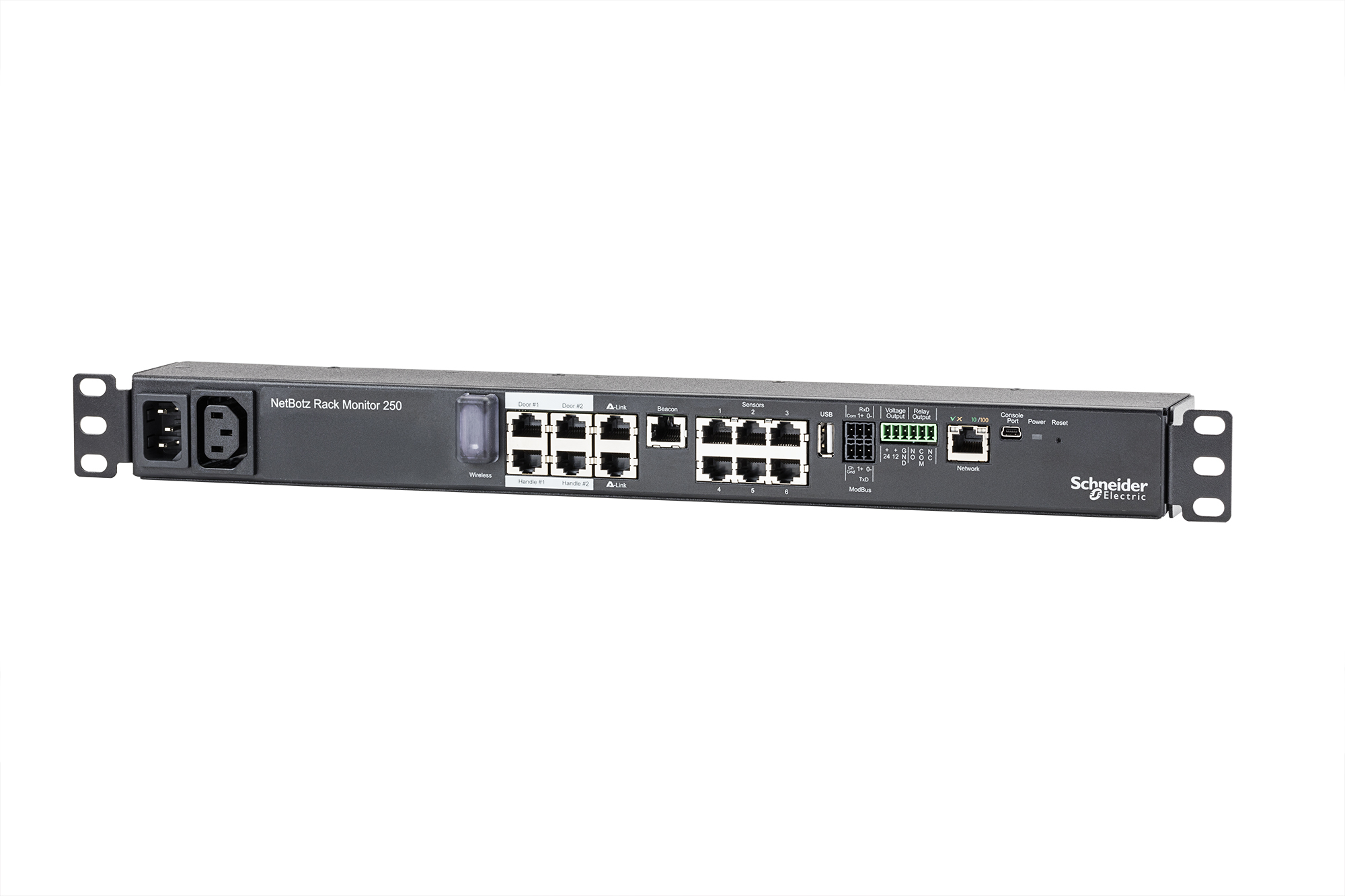 APC NetBotz Rack Monitor 250 APC NetBotz Rack Monitor 250