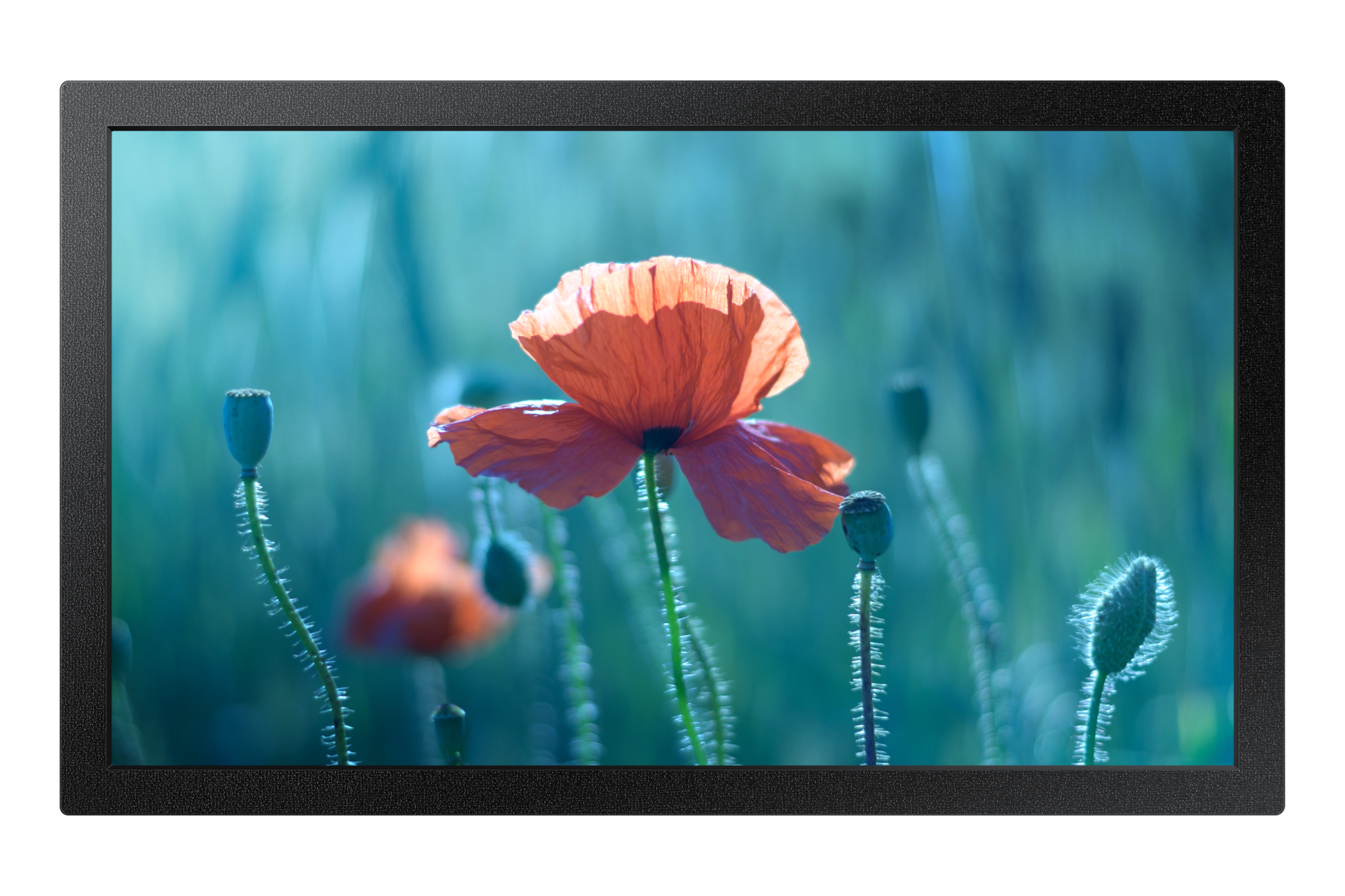 Samsung QB13C 33 cm (13") LCD Wifi 500 cd/m² Full HD Noir 16/7