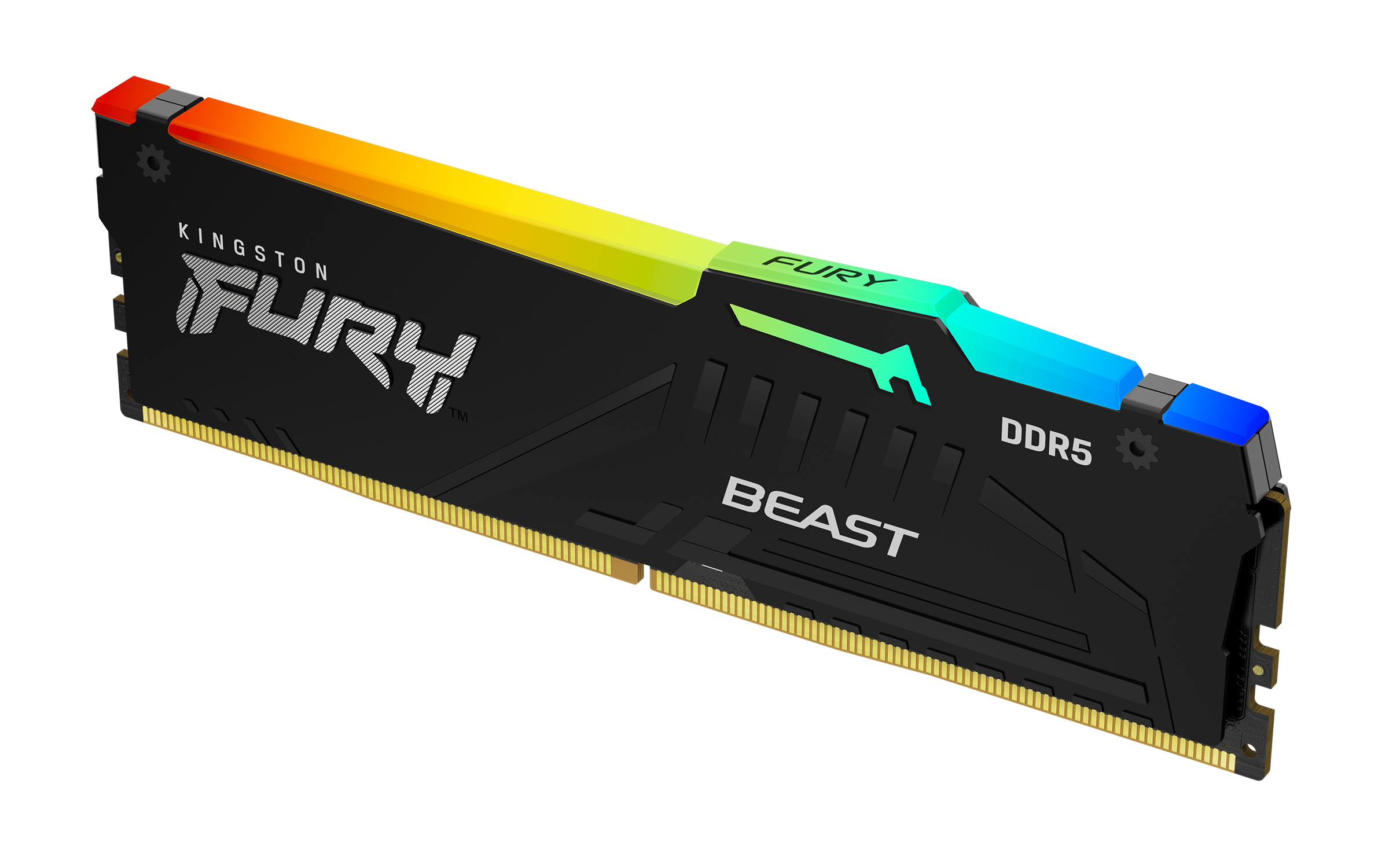 Kingston Technology FURY Beast 16 Go 5600 MT/s DDR5 CL36 DIMM RGB Kingston Technology FURY Beast 16 Go 5600 MT/s DDR5 CL36 DIMM RGB