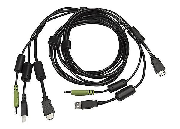 CABLE 1-DVI-D/1-HDMI/1-USB/1-AUD 6FT