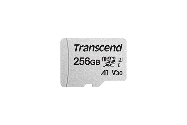 Transcend 300S