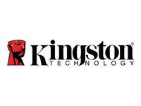 Kingston Technology DataTraveler 64Go 220Mo/s Clé USB 3.2 Gen 1 Métal SE9 G3