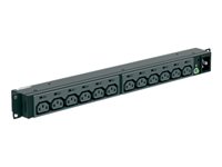 Panduit P12B34M unité de distribution d'énergie 12 sortie(s) CA Noir Panduit P12B34M unité de distribution d'énergie 12 sortie(s) CA Noir