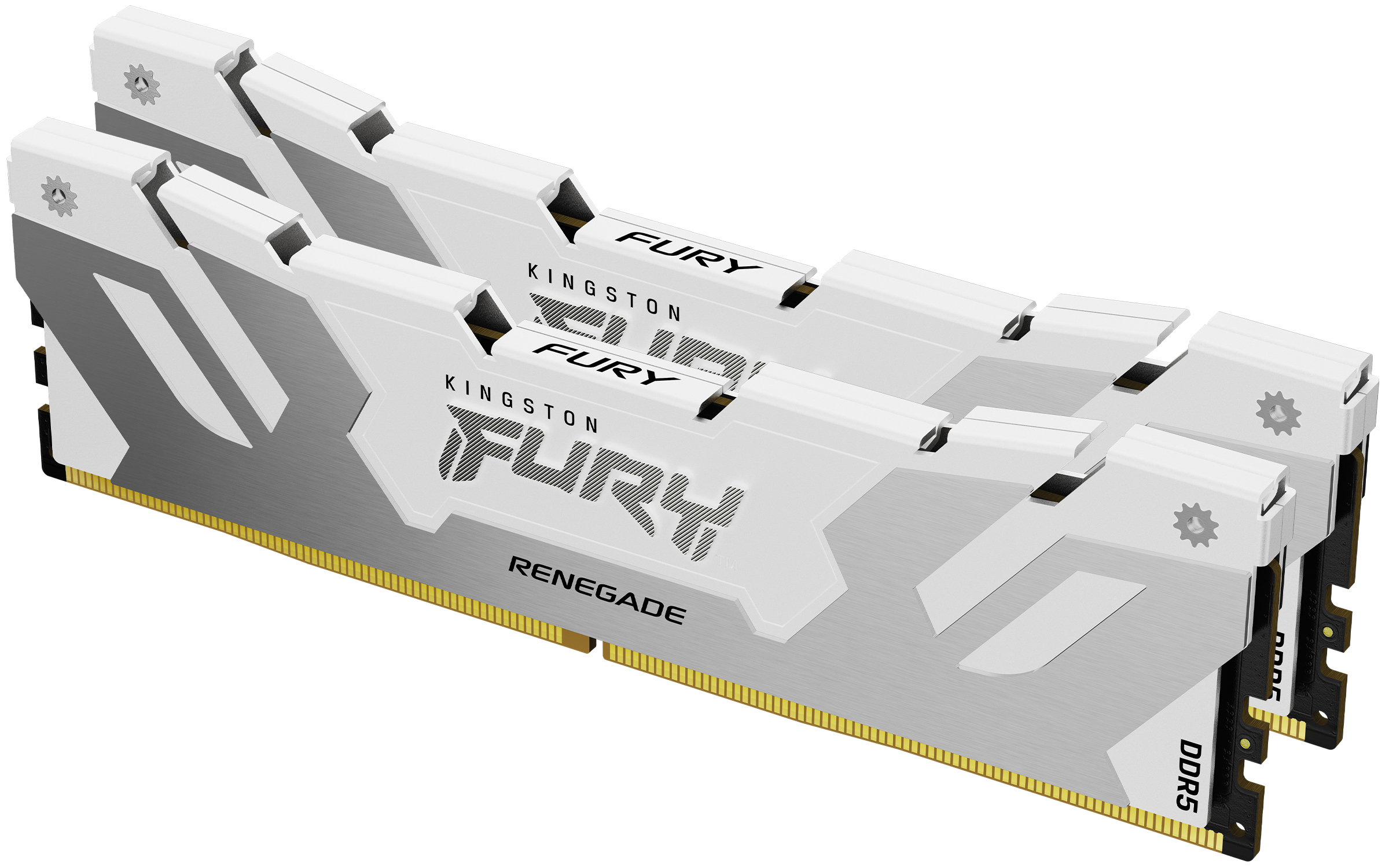 Kingston Technology FURY 48 Go 8000 MT/s DDR5 CL38 DIMM (Kit de 2) Renegade White