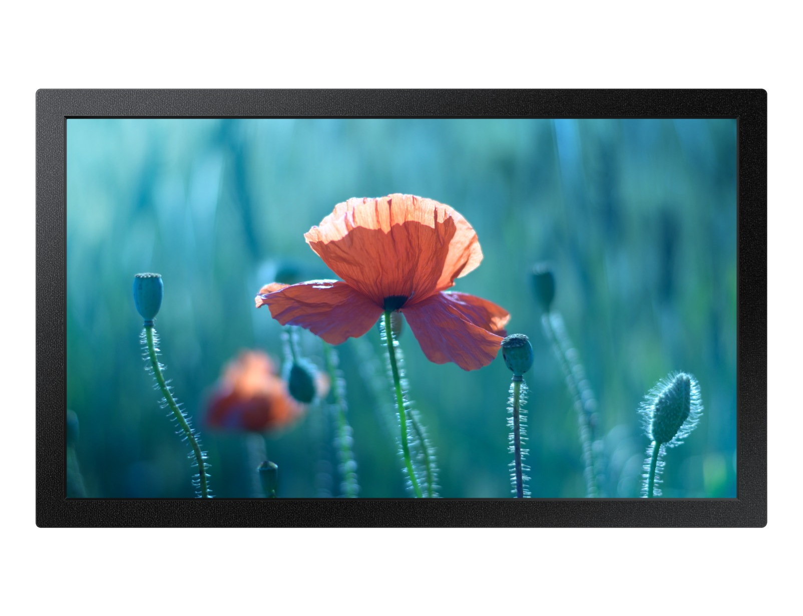 Samsung QB13R Samsung QB13R