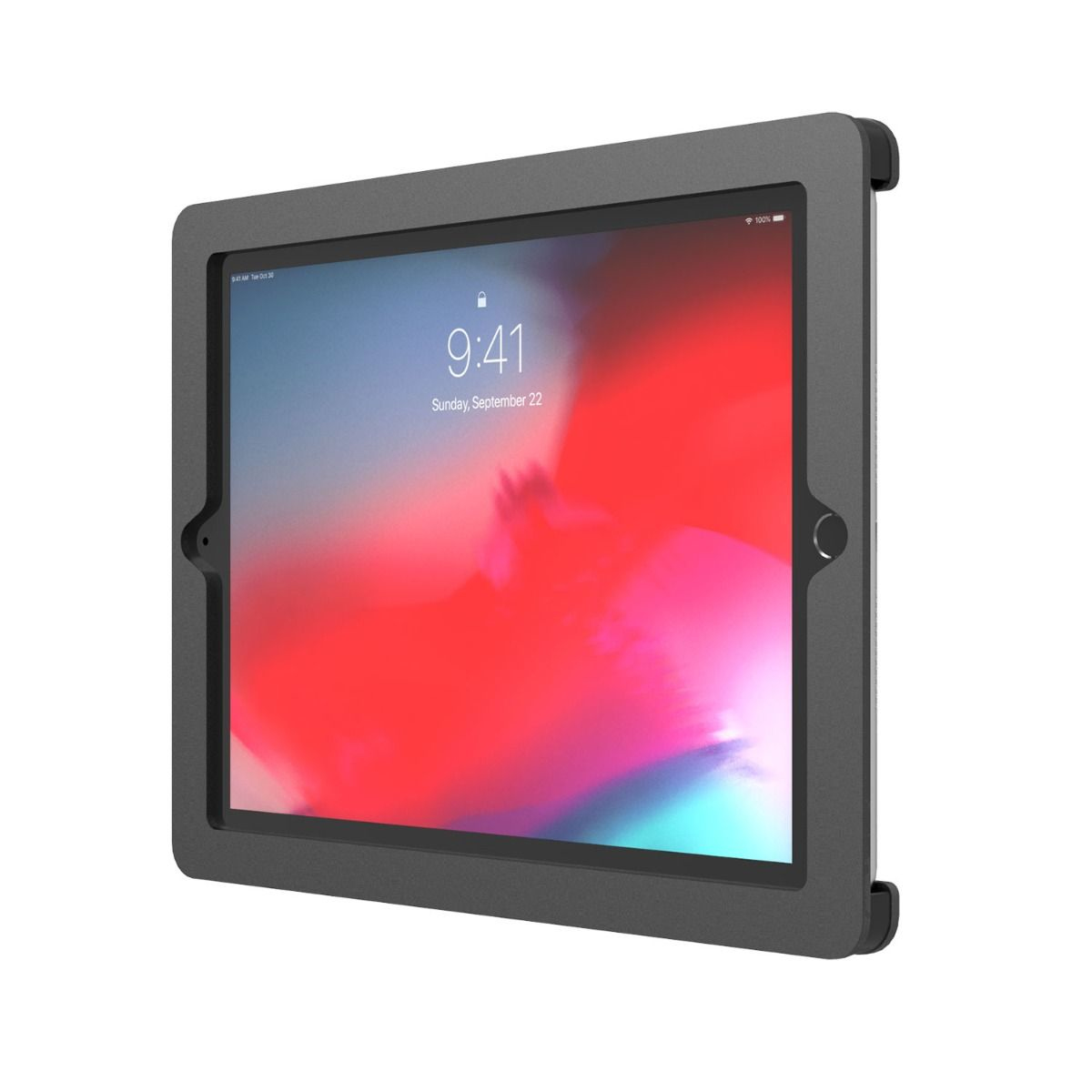 Compulocks Axis iPad 10.2-inch POS VESA Enclosure Compulocks Axis iPad 10.2-inch POS VESA Enclosure