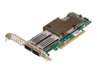 Broadcom BCM957508-P2100G carte réseau Interne Fibre 100000 Mbit/s Broadcom BCM957508-P2100G carte réseau Interne Fibre 100000 Mbit/s