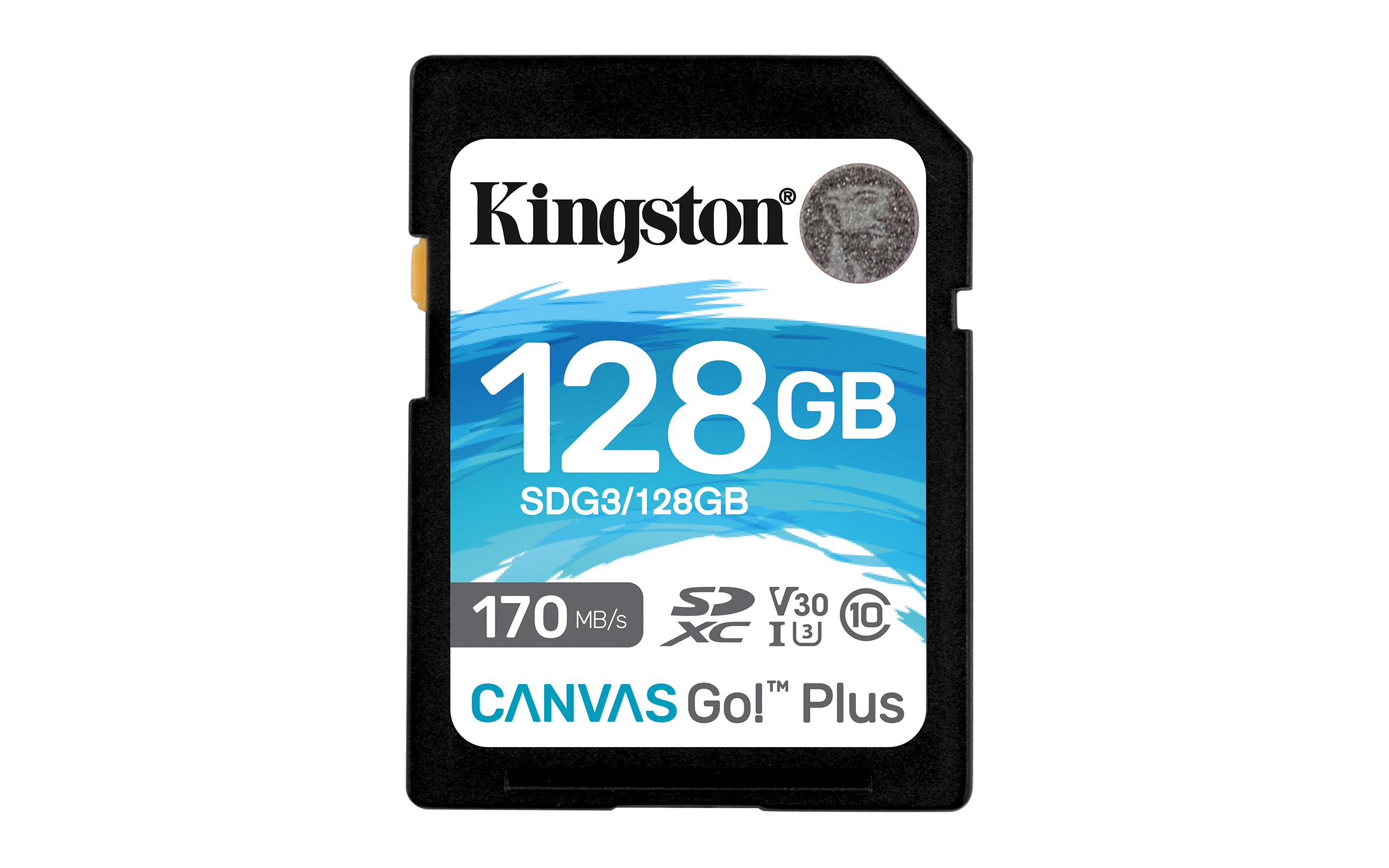 Kingston Canvas Go! Plus