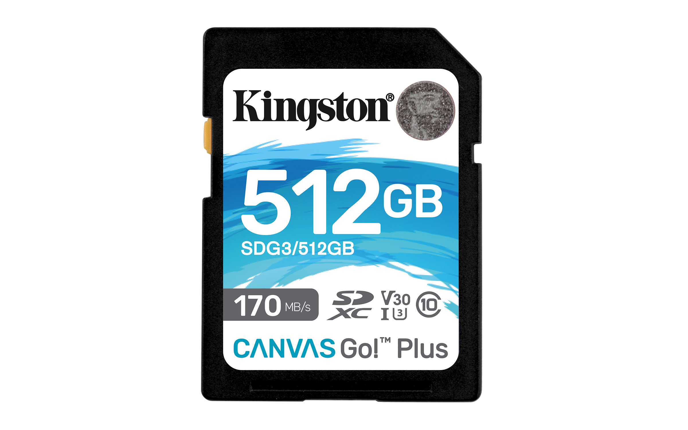 Kingston Canvas Go! Plus Kingston Canvas Go! Plus