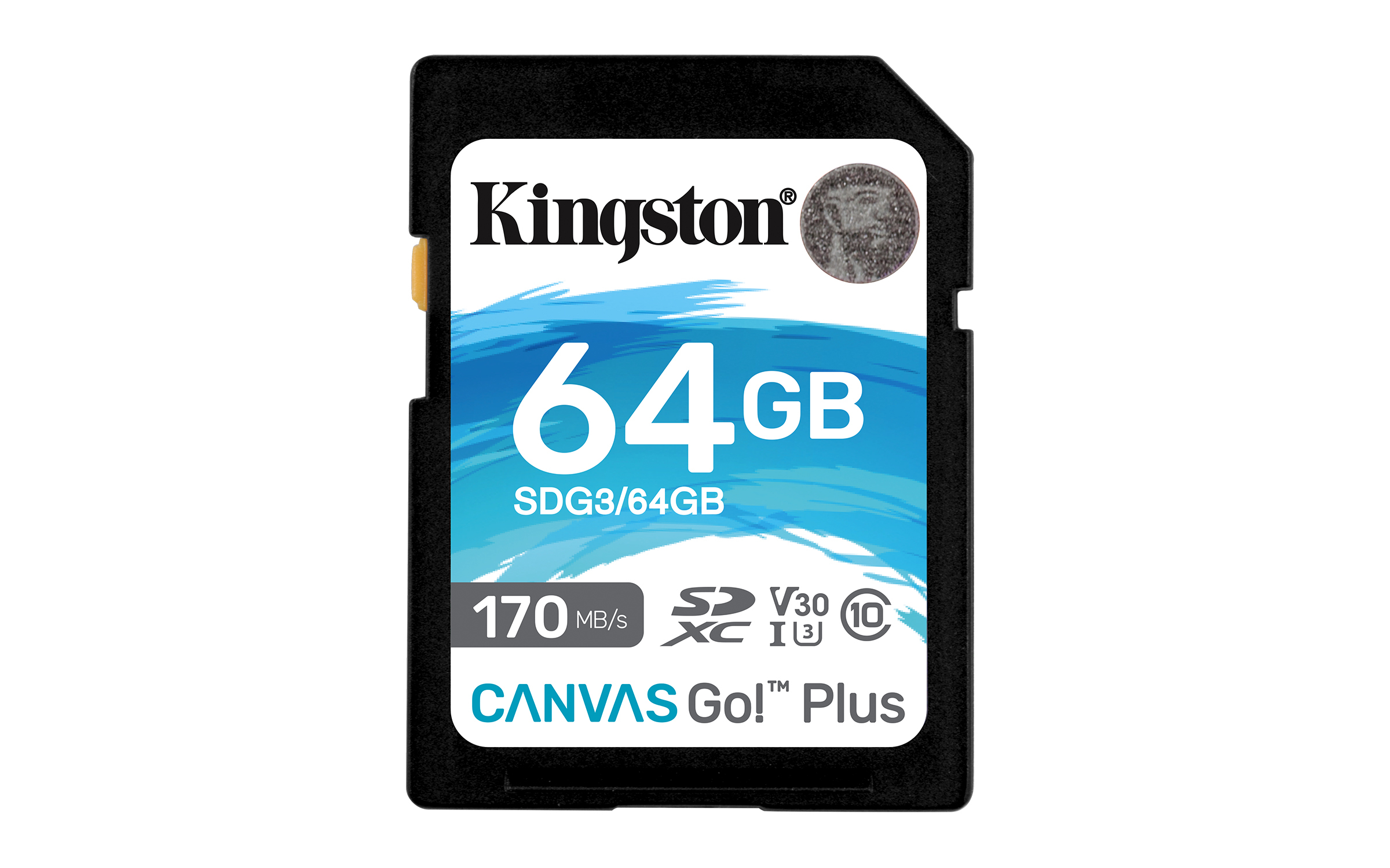 Kingston Canvas Go! Plus