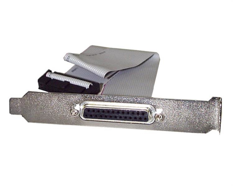 StarTech.com Nappe port parallèle DB25 femelle vers connecteur carte mère IDC 25 broches de 40 cm StarTech.com Nappe port parallèle DB25 femelle vers connecteur carte mère IDC 25 broches de 40 cm
