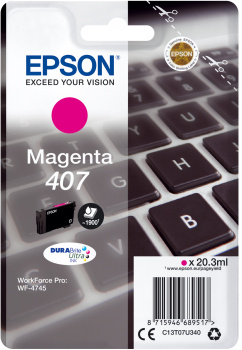 Epson 407