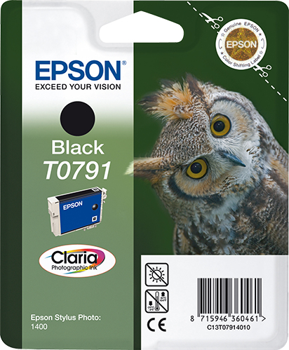 Epson T0791
