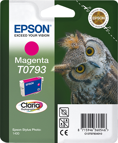 Epson T0793