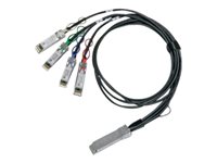 Nvidia MCP7F00-A02AR30L câble d'InfiniBand 2,5 m QSFP28 2xQSFP28 Noir