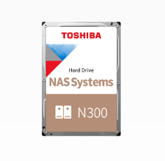 N300 NAS 3.5" 8000 Go Série ATA III