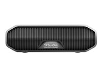 SanDisk G-DRIVE disque dur externe 22000 Go Acier inoxydable SanDisk G-DRIVE disque dur externe 22000 Go Acier inoxydable
