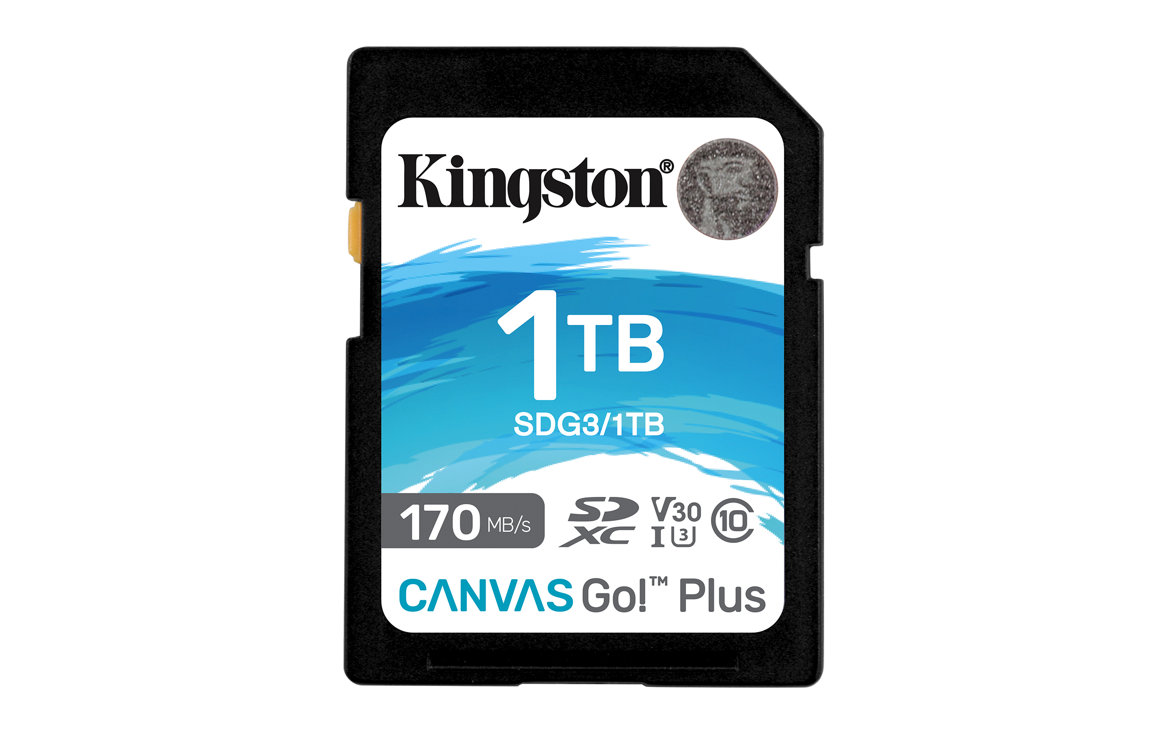 Kingston Technology Carte SDXC Canvas Go Plus 170R C10 UHS-I U3 V30 de 1 To Kingston Technology Carte SDXC Canvas Go Plus 170R C10 UHS-I U3 V30 de 1 To