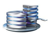 Acronis Disk Director 12.5 Server Vers