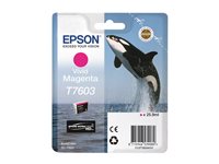 Epson C13T76034N10 cartouche d'encre 1 pièce(s) Original Magenta vif Epson C13T76034N10 cartouche d'encre 1 pièce(s) Original Magenta vif