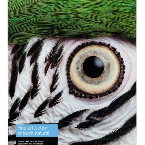 Epson C13S450269NQ papier jet d'encre A2 (420x594 mm) Lisse 25 feuilles Multicolore