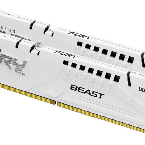 Kingston Technology FURY Beast 64 Go 6000 MT/s DDR5 CL30 DIMM (Kits de 2) White EXPO