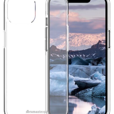 dbramante1928 Iceland Pro coque de protection pour téléphones portables 15,5 cm (6.1") Housse Transparent