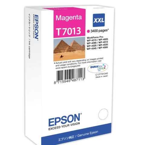 Epson T7013