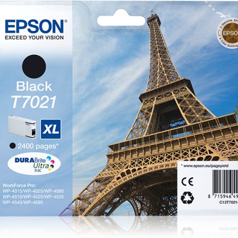 Epson T7021