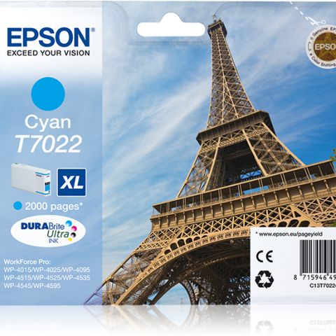 Epson T7022