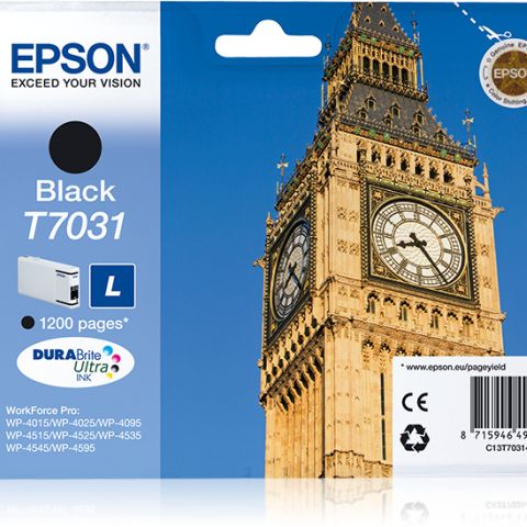 Epson T7031